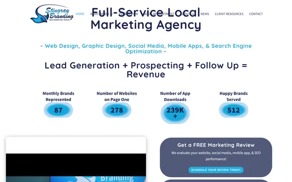 img of B2B Digital Marketing Agency - Stingray Branding